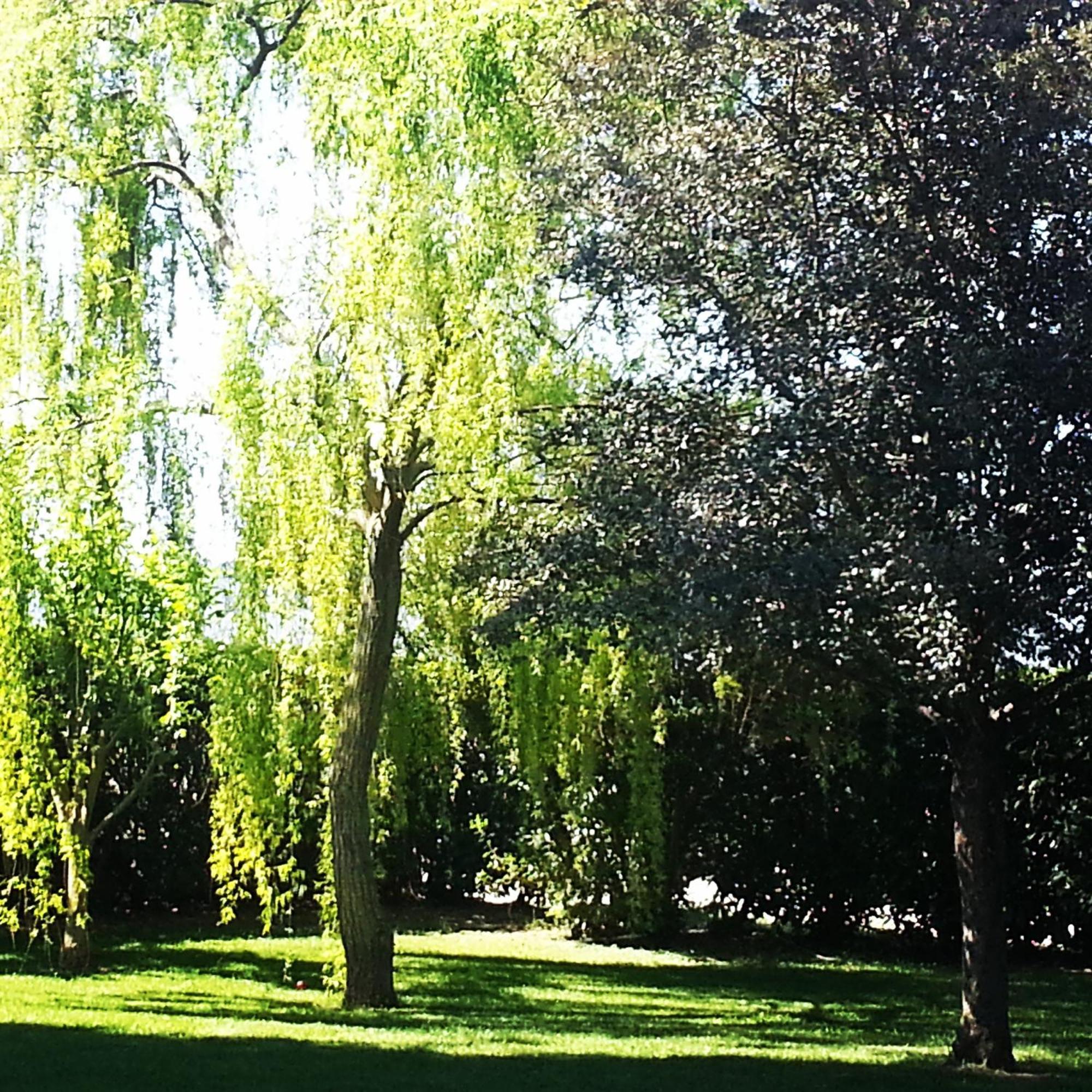 Podere San Carlo *